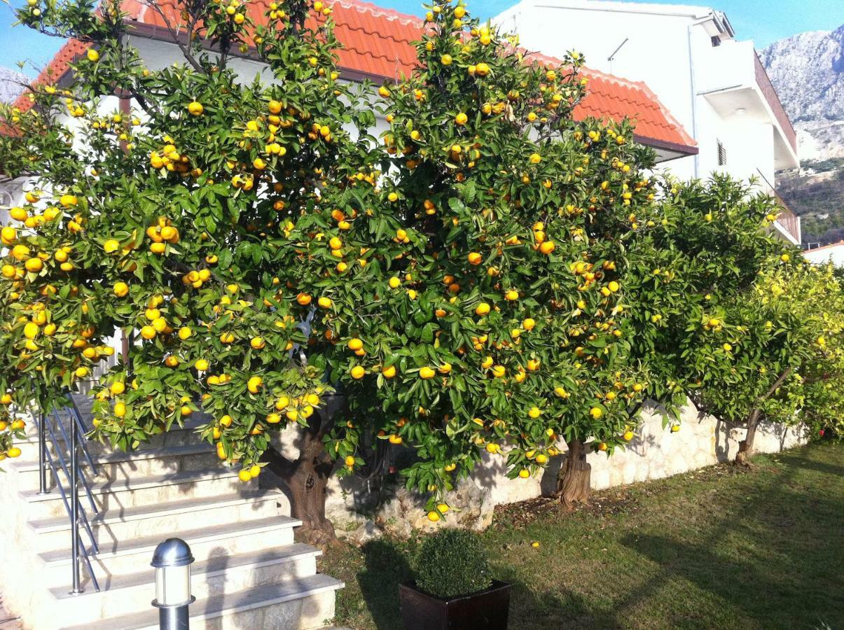Villa Old Olive, 3Lovelyvillas Podgora Eksteriør billede